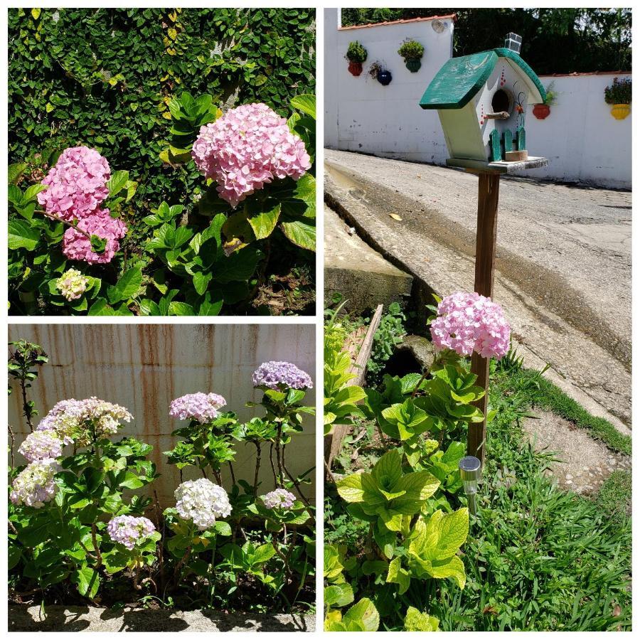 Pousada Das Hortensias Conservatória Kültér fotó